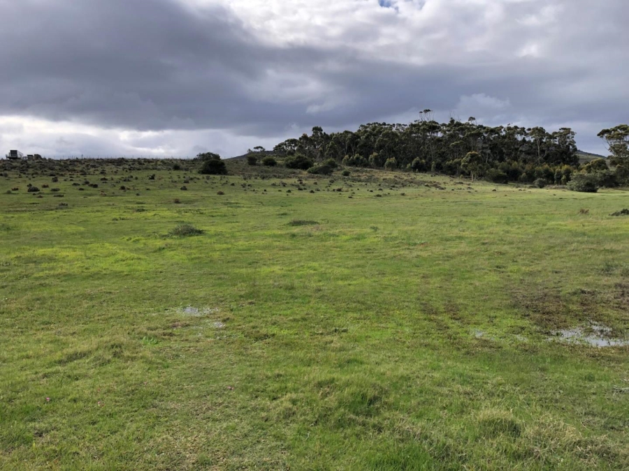 Commercial Property for Sale in Baardskeerdersbos Western Cape
